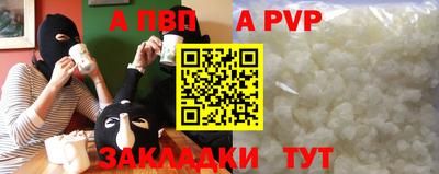 тгк Кингисепп